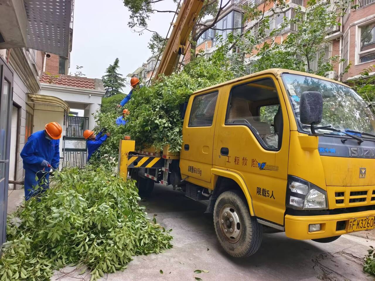 我为群众办实事+修剪树木除烦恼2.jpg