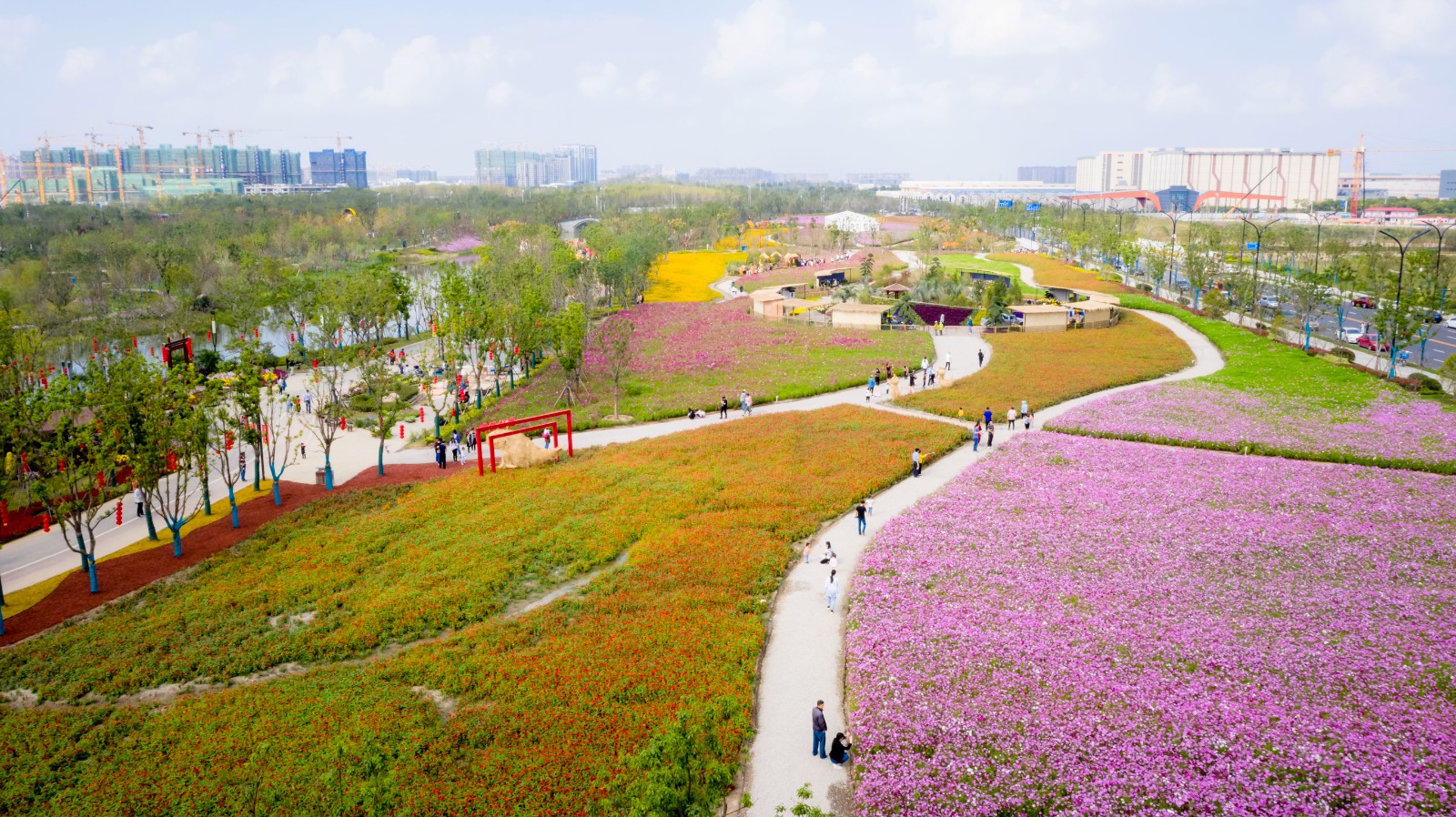 DJI_0738.JPG