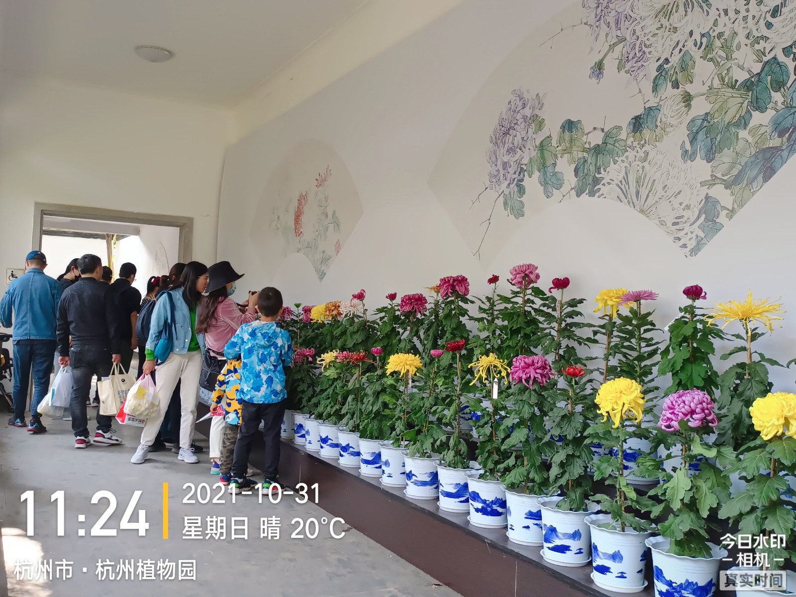 第二届长三角菊花精品展.jpg