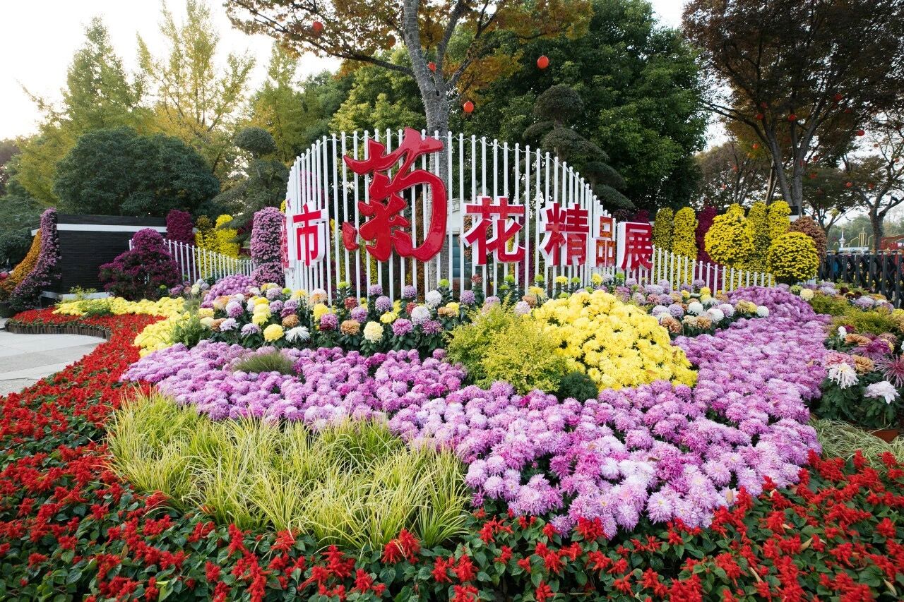 QQ图片20201201090710.jpg