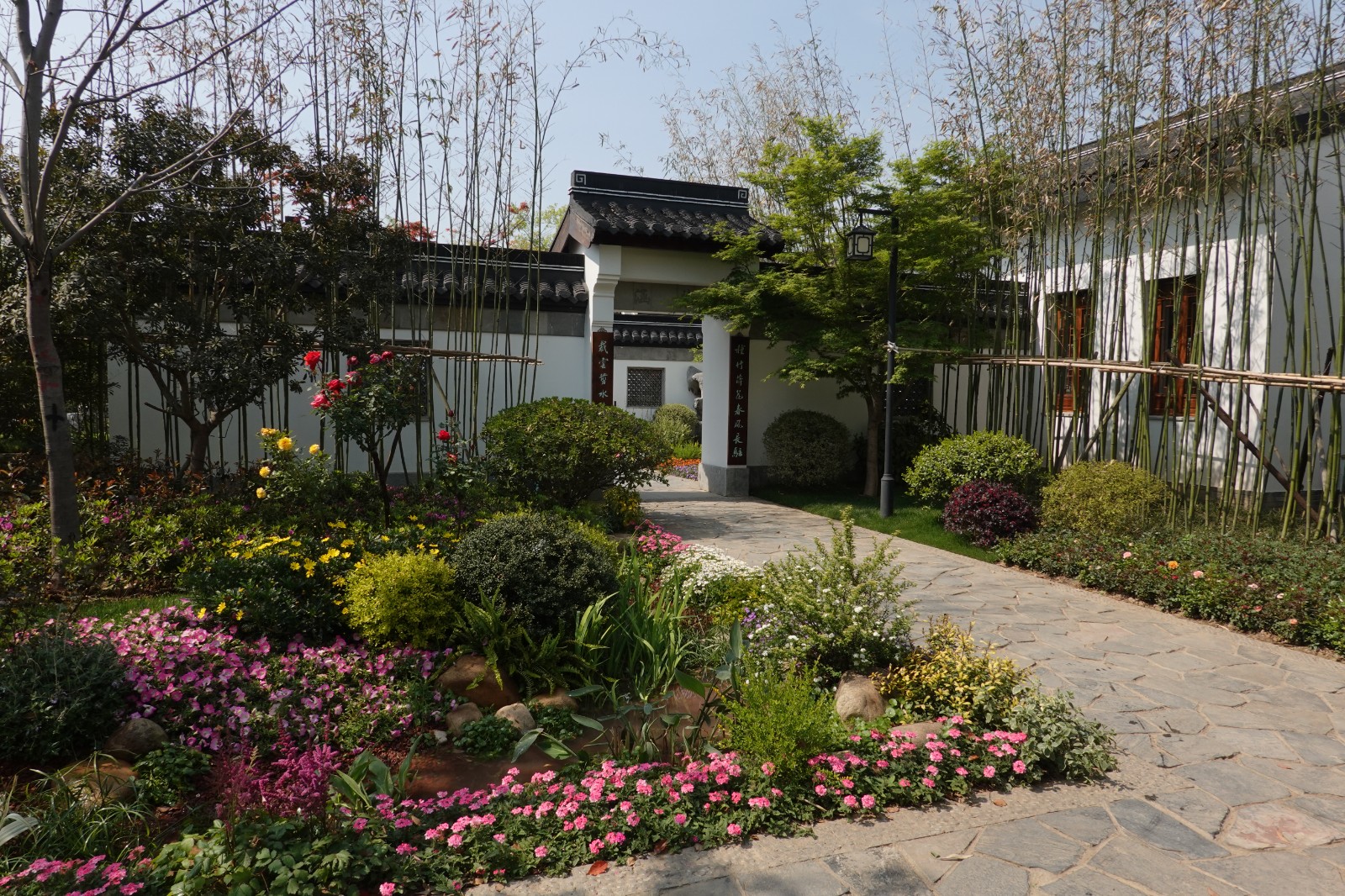 DSC08209.JPG